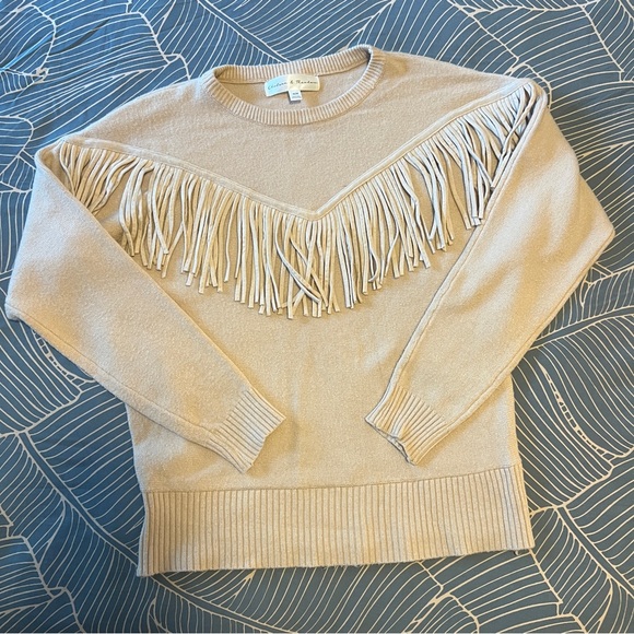 Chelsea & Theodore Sweaters - Chelsea & Theodore Blush Fringe Sweater